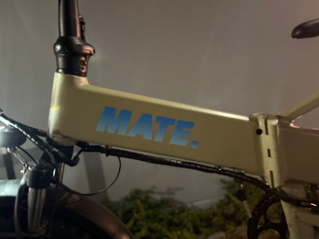 新型最安値MATE BIKE MATE X Eバイクメイトバイクシ メイト最新作