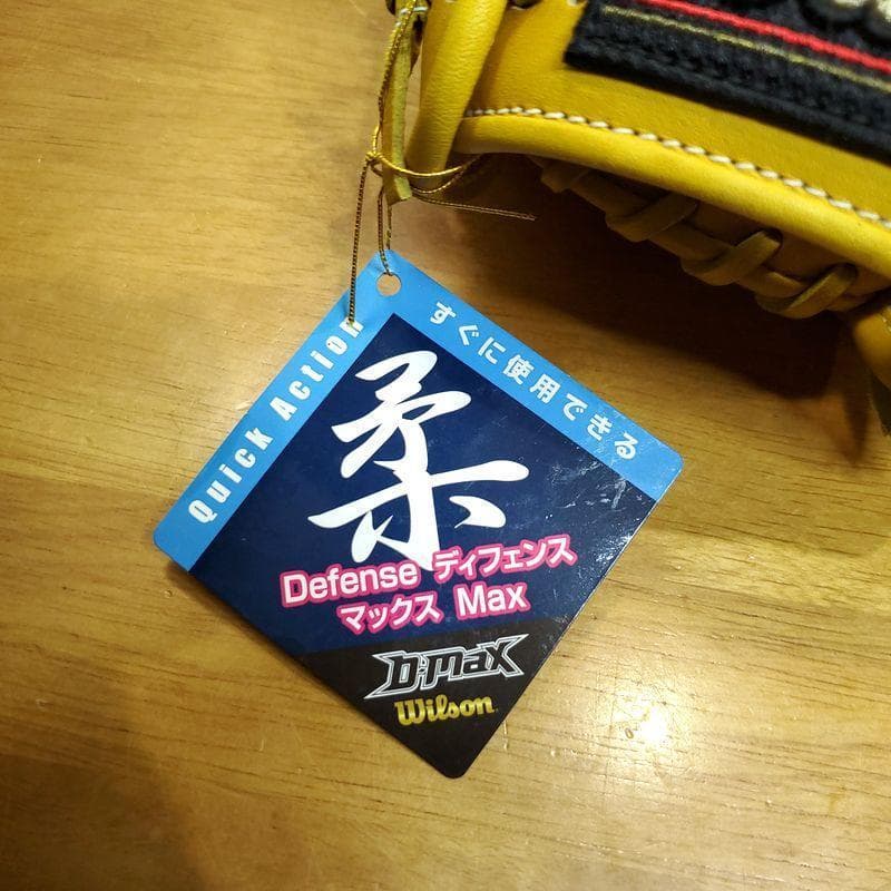 ウイルソン Wilson 木佐貫洋 直筆サイン入り 未使用品 軟式グローブ