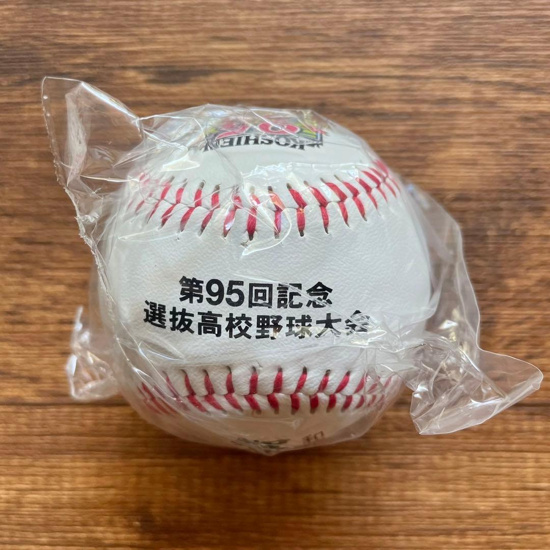 第95回 2023年選抜高校野球大会 春の甲子園 智辯和歌山 記念品セット