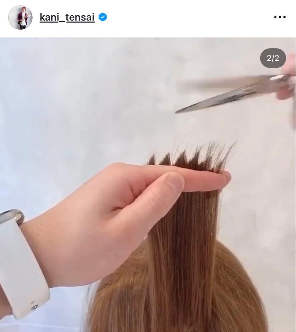 NBAA シザー カニさん 美容師 - メルカリ