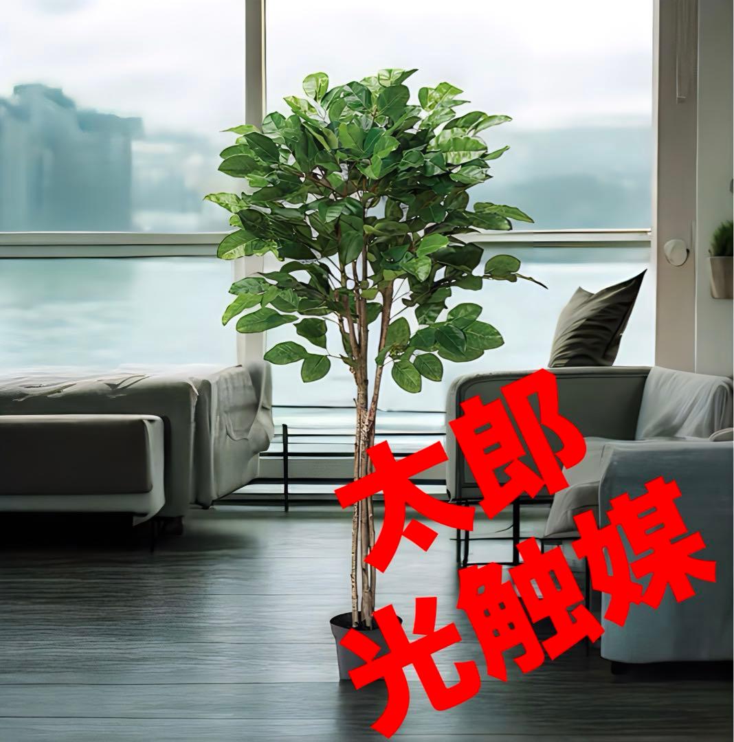 光触媒　人工観葉植物　ウォールグリーン　フェイクグリーン　ジャイアントツリー 光触媒 人工観葉植物 ウォールグリーン フェイクグリーン 壁面緑化