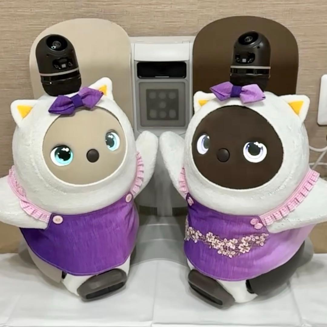 限界価格 LOVOTDuo ラボット 双子 ねこみみニット2着and洋服