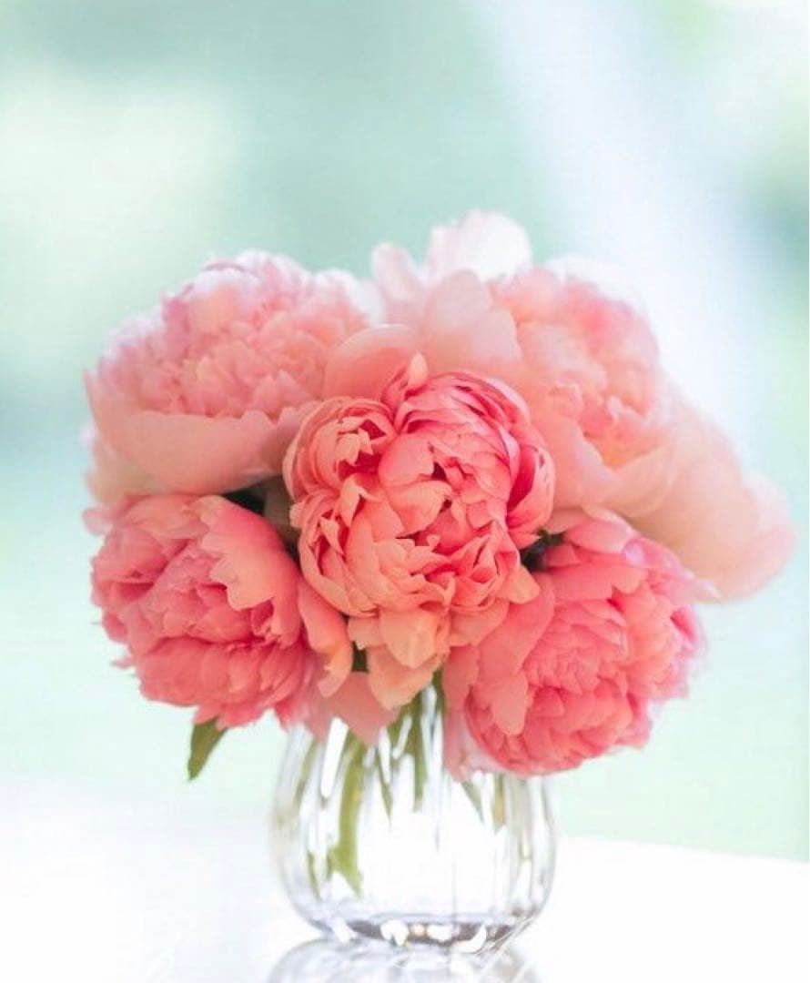 ハイウエスト君 タイチ公式通販】RSB285 ウエストバッグ｜TAICHI