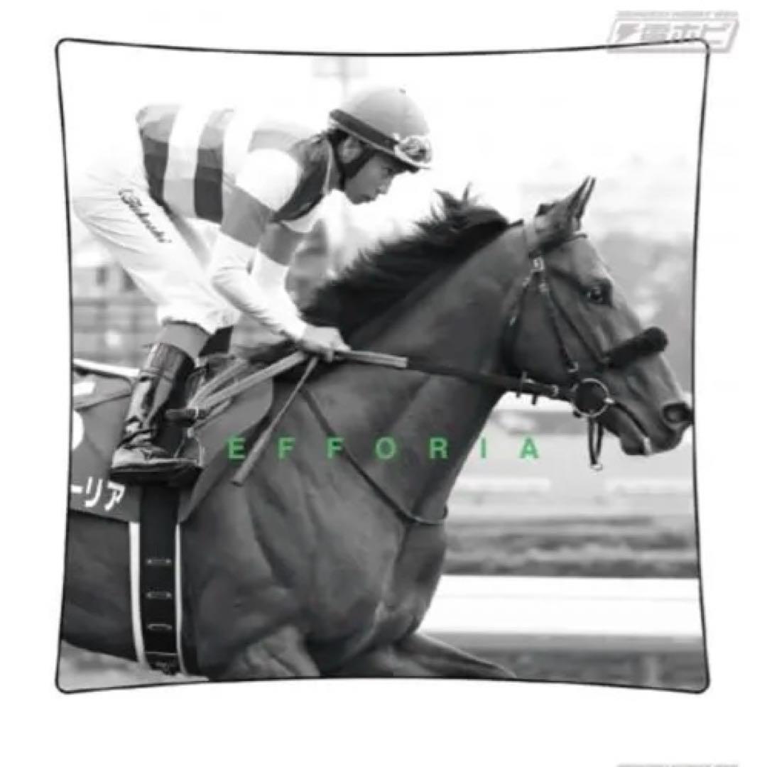 エフフォーリア 引退記念グッズ ミニクッション 競馬 クッション ソダシ引退記念グラフィカルミニクッション | HORSEGOODSnet
