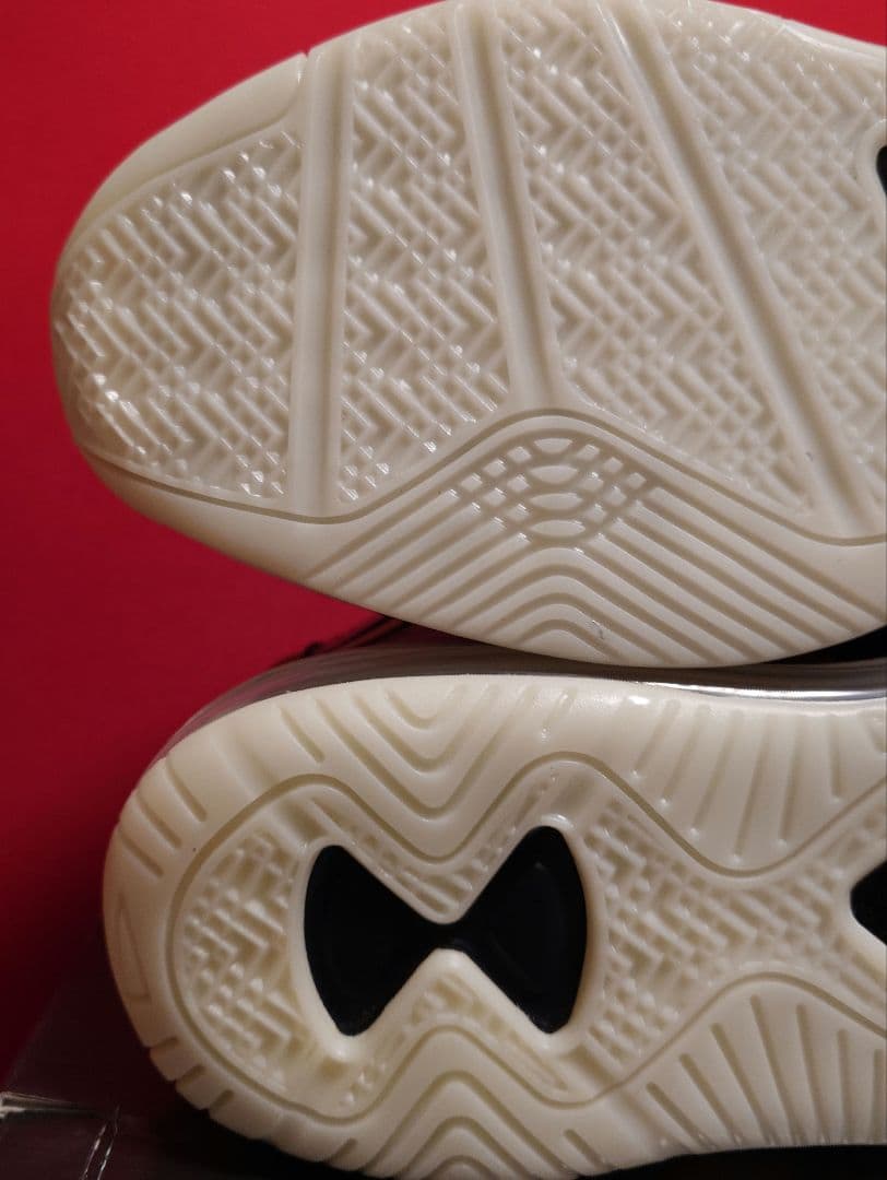 SPACE PLAYERS × NIKE LEBRON 8 28.5cm