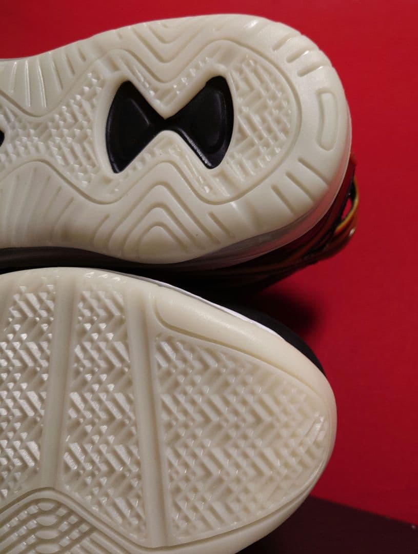 SPACE PLAYERS × NIKE LEBRON 8 28.5cm