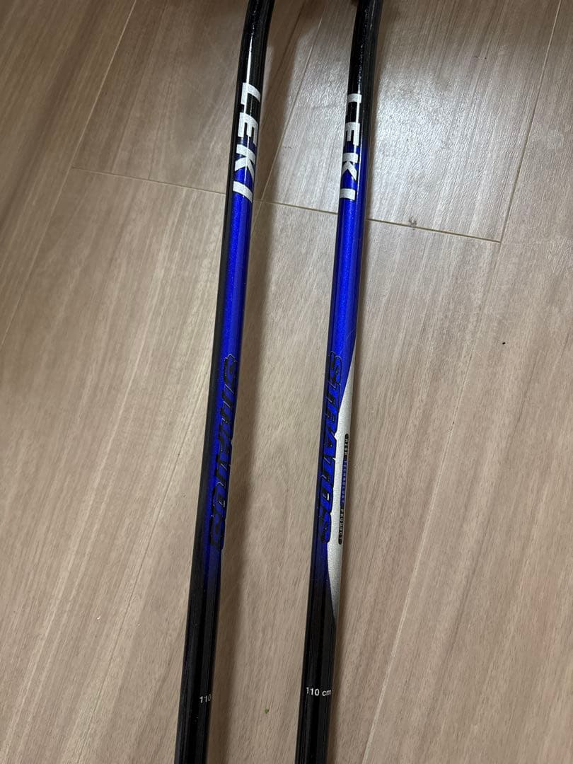 SALOMON サロモン DEMO8 3V PILOT 170cm ストック付き - スキー