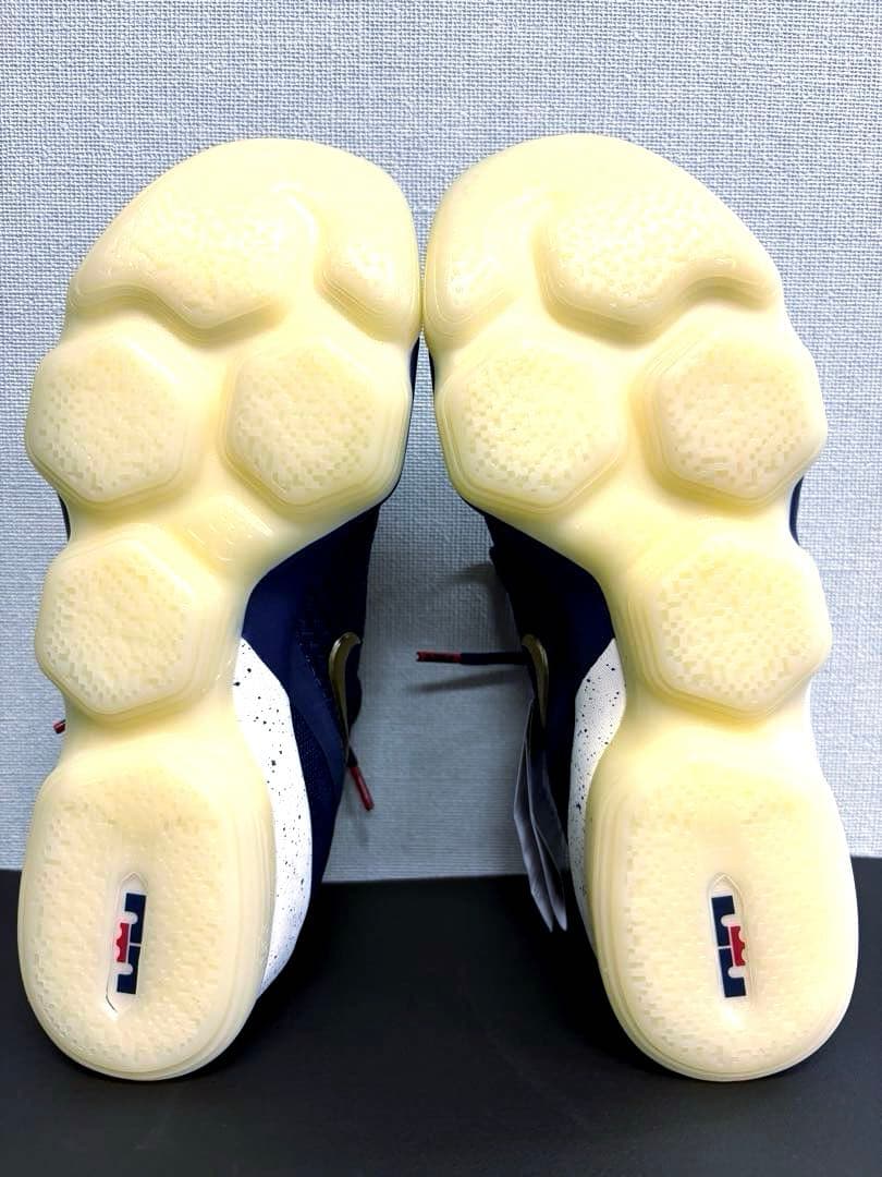 シューズ(男性用) NIKE LEBRON XIV LOW EP \"USA\" 28cm