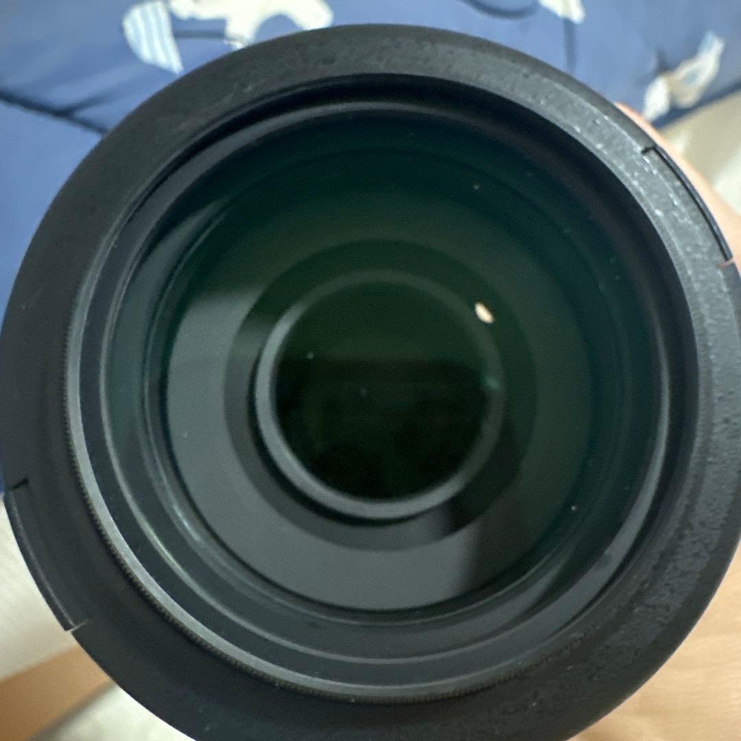 レンズ(ズーム) Nikon AF-S NIKKOR 55-300mm f4.5-5.6 G ED