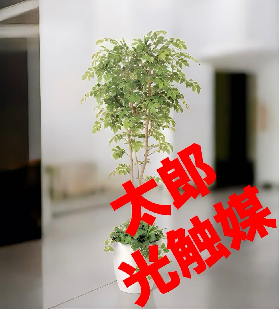 光触媒　人工観葉植物　ウォールグリーン　マウンテンアッシュ1.81.8 光触媒 光の楽園マウンテンアッシュ（下草付）1.3m【インテリア