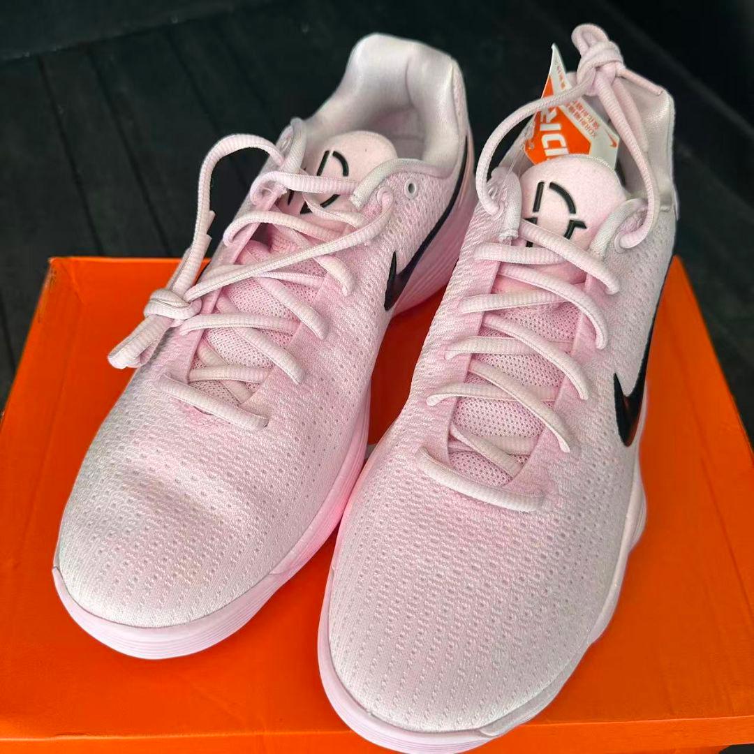 Nike ハイパーダンク2017 Low 