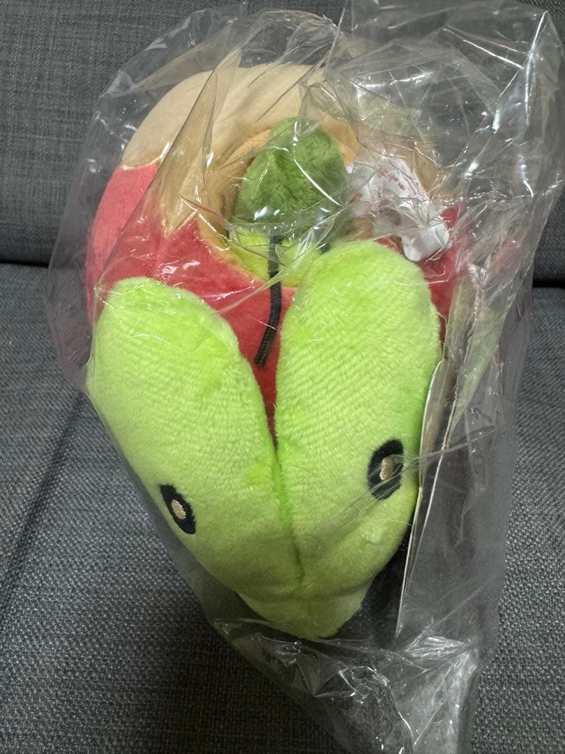 ポケモン 海外限定 カジッチュ ぬいぐるみ 果然一派 販売 中