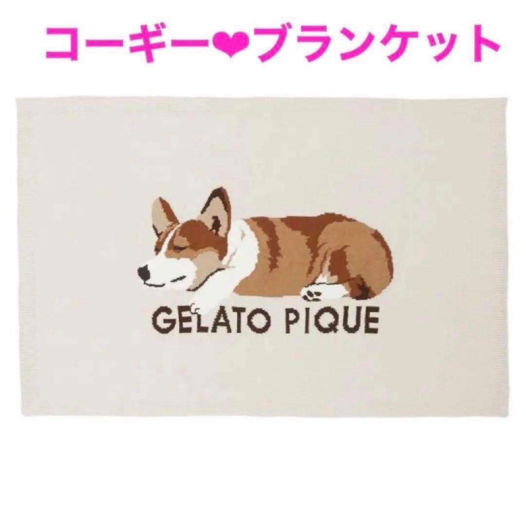 新品 ジェラートピケ SLEEPING DOG ジャガードブランケット コーギー