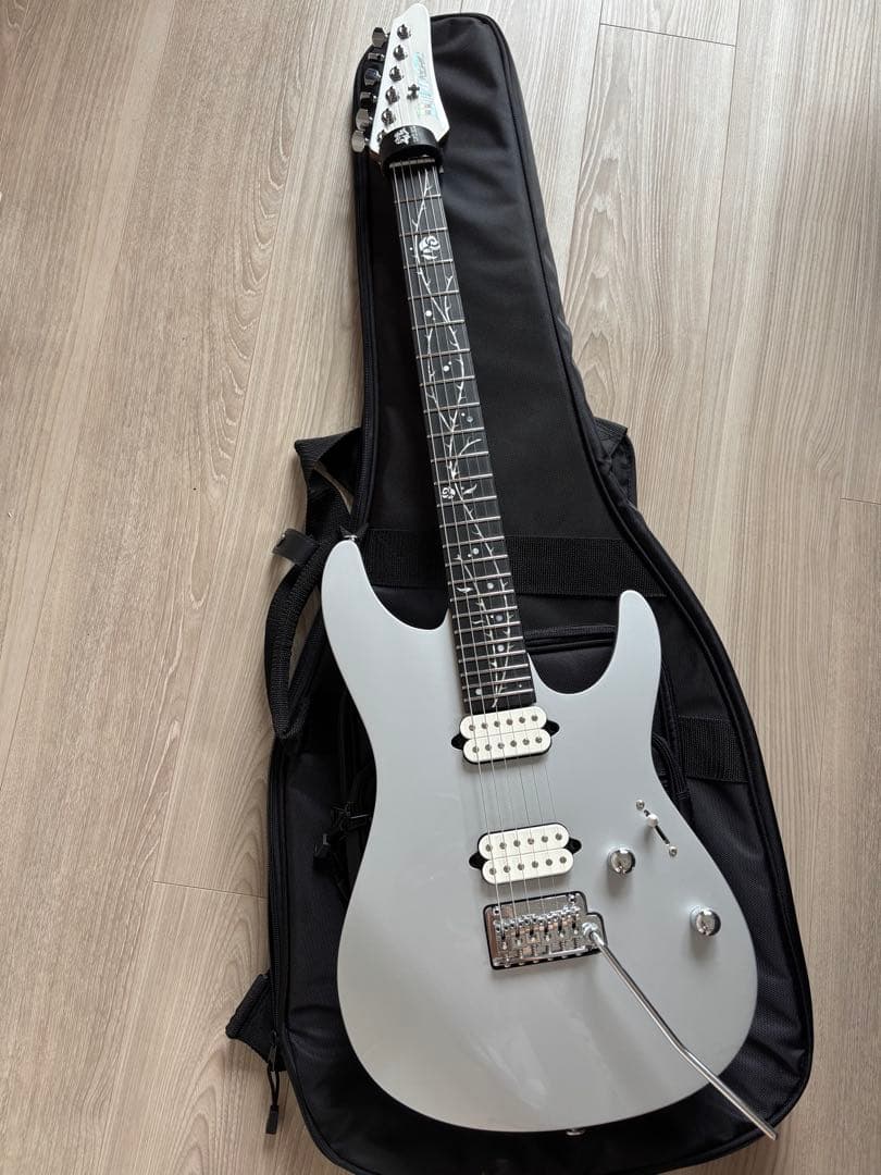 【最終値下】【ほぼ未使用】Ibanez TOD10 ソフトケース付き Ibanez TOD10 [Tim Henson Signature Model]｜ミュージックランドKEY