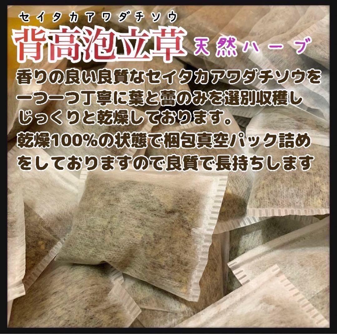 天然ハーブ】背高泡立草 セイタカアワダチソウ1kg 個包装80個前後