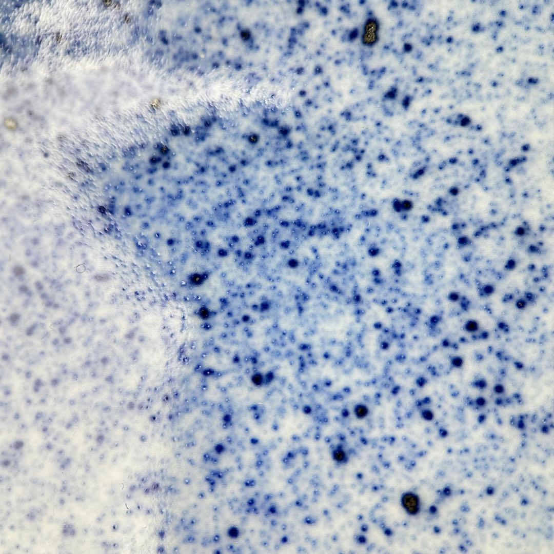 A059古染付 鰒盛付 淡幽造 五山窯 青白い陶器のボウル 木箱付き A059古