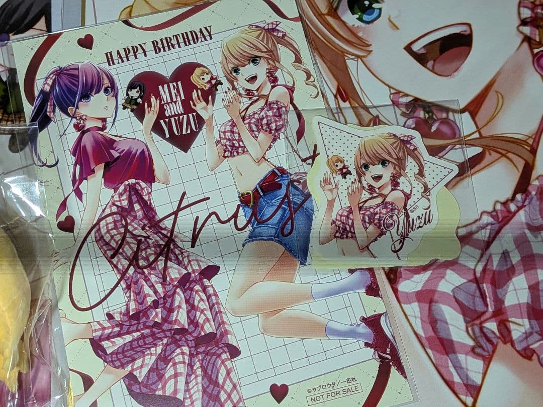 citrus ＋ 藍原芽衣 柚子 誕生日 セット ぬいぐるみ サブロウタ 百合