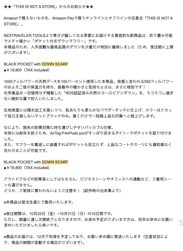 ポケット付きダウンマフラー nextraveler 高城剛 down scarf 寒い季節