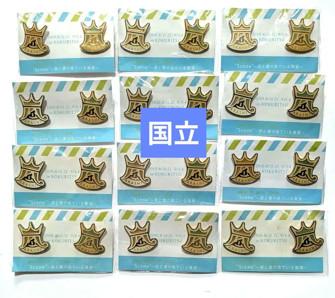 12点セット】嵐 君と僕の見ている風景 国立 ピンバッジ【未開封