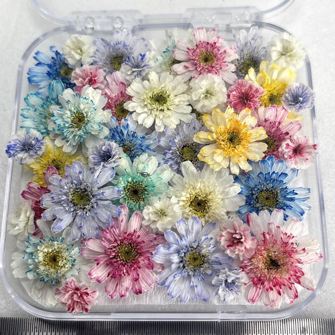 ドライフラワー 花材 詰め合わせ 921 マトリカリア - メルカリ