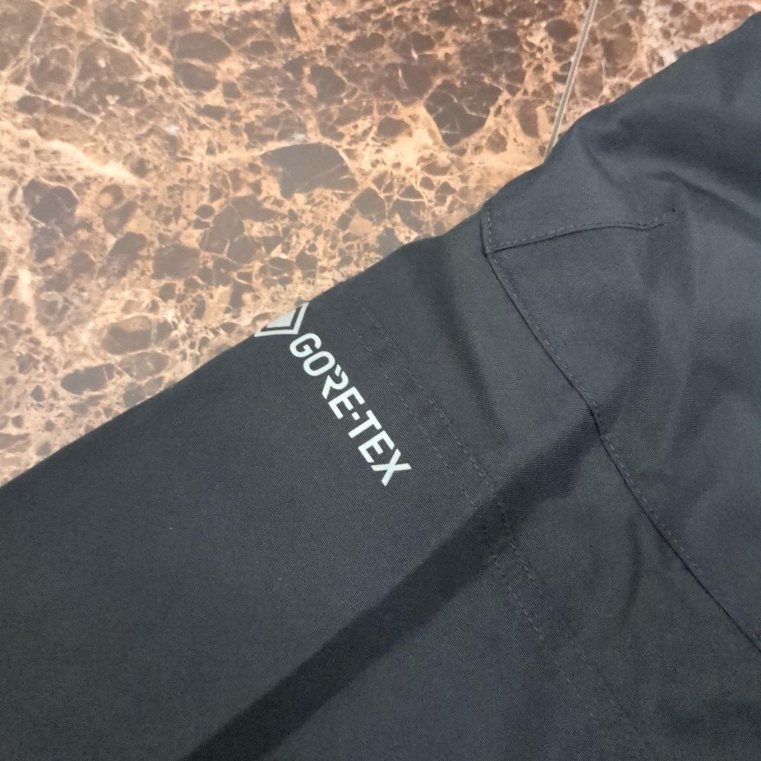 BURTON GORE-TEX ビブパンツ Lサイズ 中古 新 デザイン