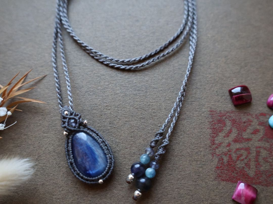 でんちゃん 11/8