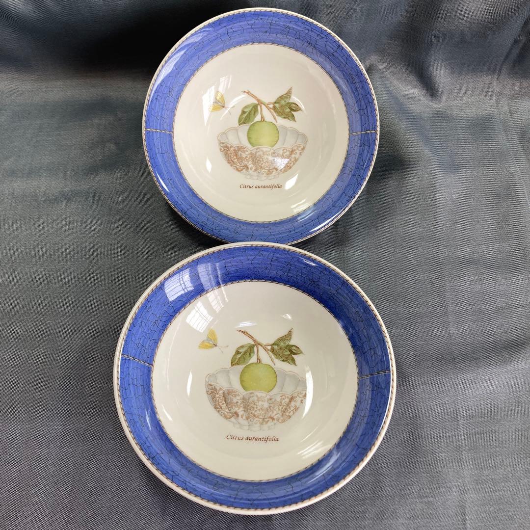 oreo様専用サラズガーデン カップ＆ソーサー サラダソーサー パスタ