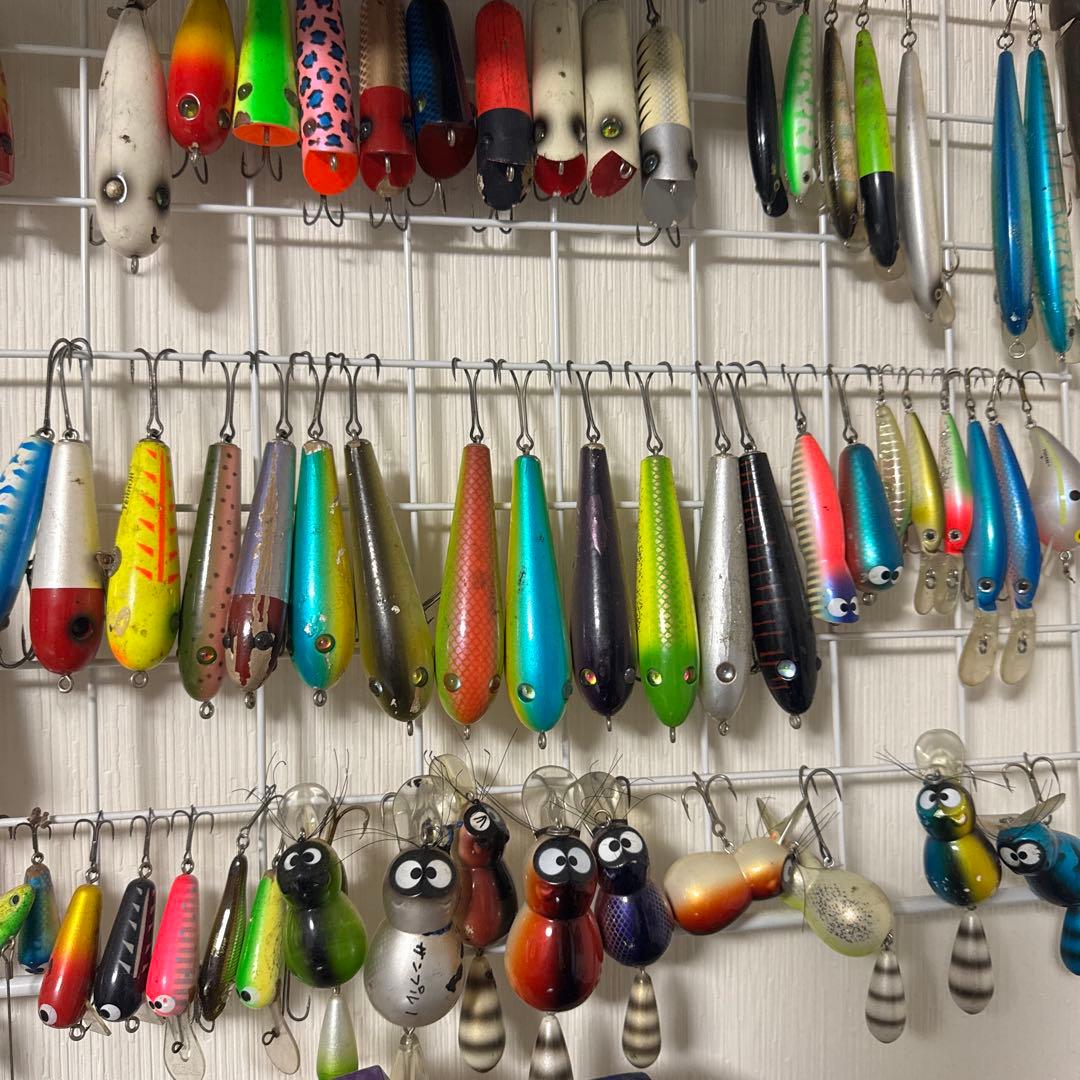 やんばるくいな