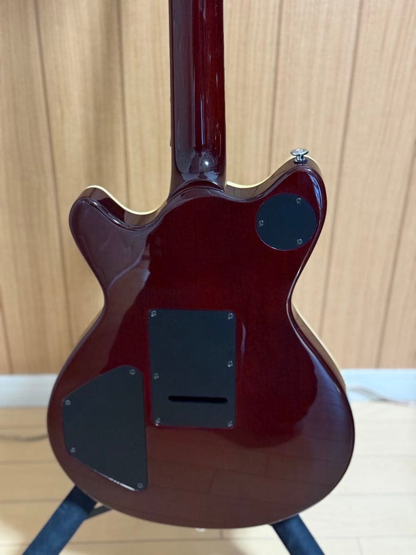 T's Guitars Arc-STD VS100N マホガニー エボニー指板