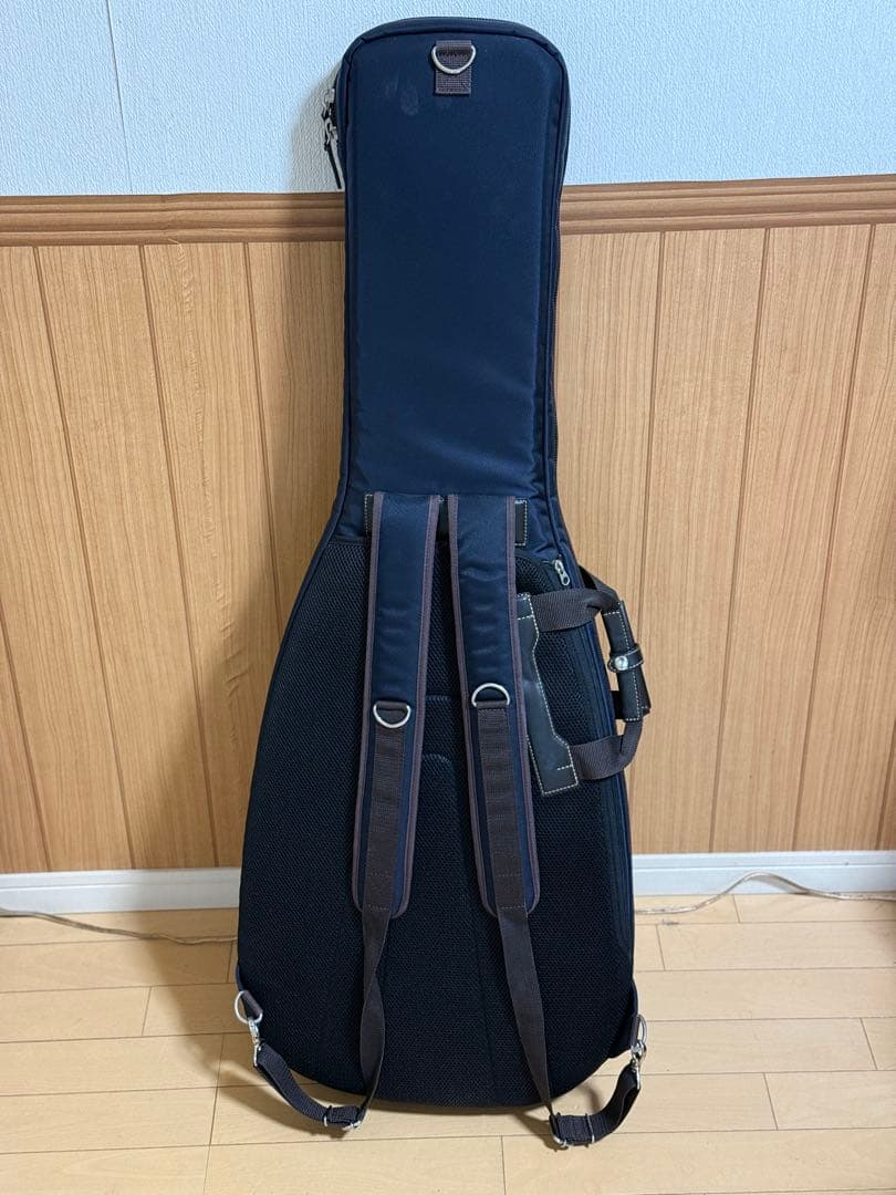T's Guitars Arc-STD VS100N マホガニー エボニー指板