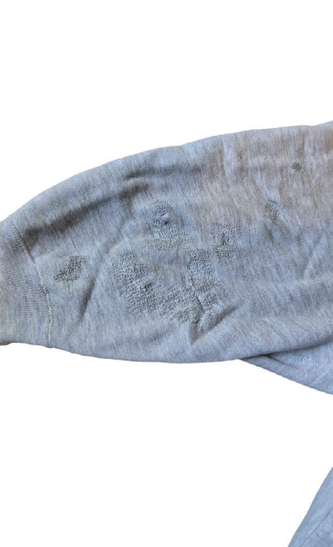 90s リバースウィーブ チャンピオン ハーフスナップボタン ワン