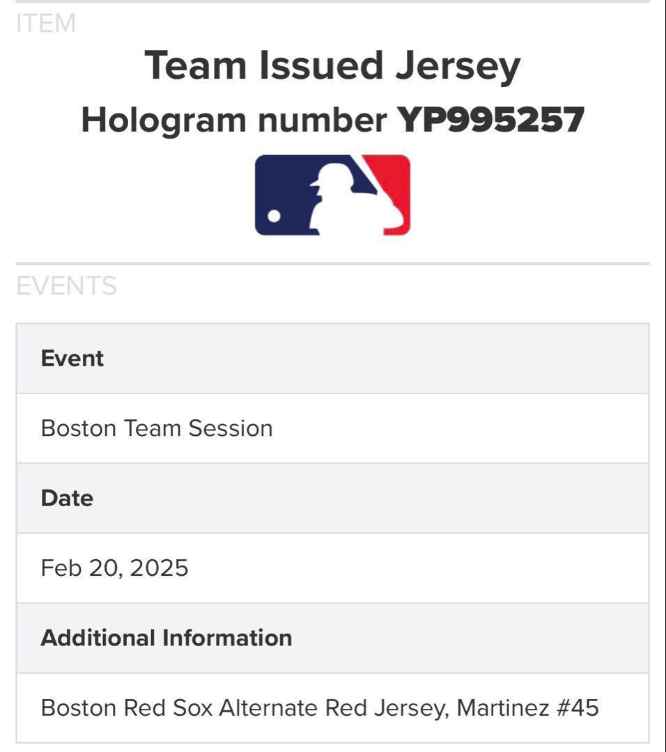 Pedro Martinez Team Issued MLBジャージ 激レア！