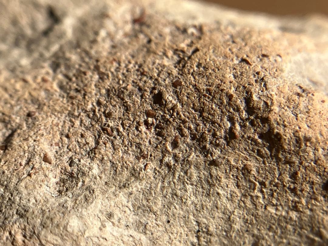 中国 古代の羊像 新石器時代後期頃 前3000～2000年】骨董発掘