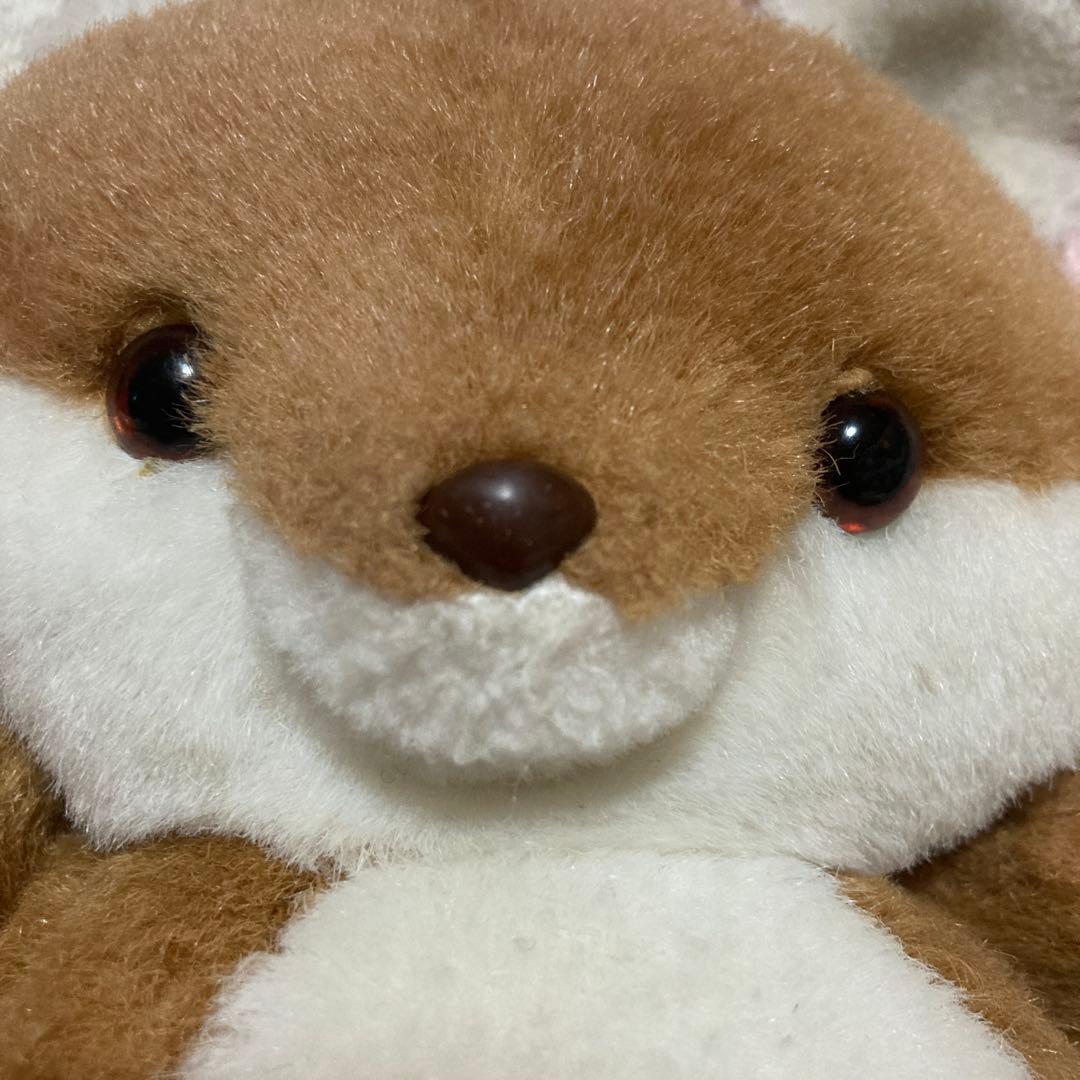 ぬいぐるみの三英 キタキツネ チロンノプ ぬいぐるみ 中古品 ② - メルカリ