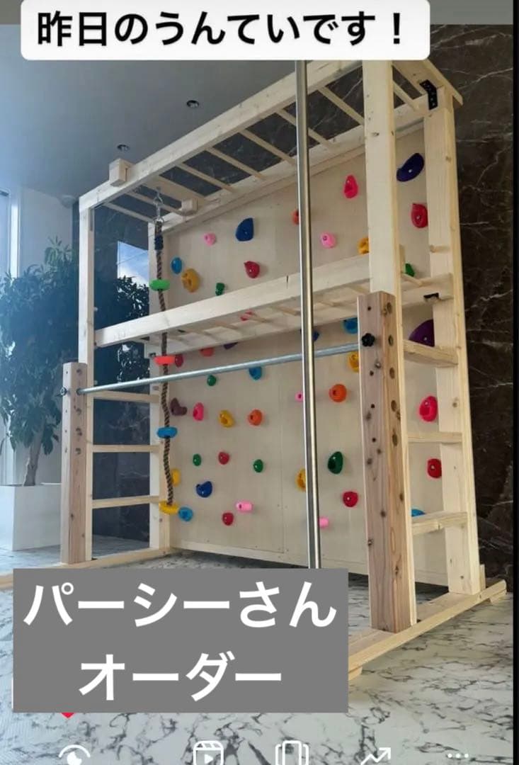 室内うんていボルダリング知育うんてい鉄棒