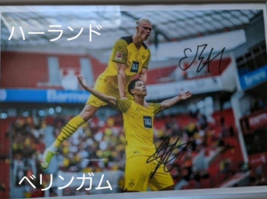 ハーランド ベリンガム 直筆サイン 普通紙 - メルカリ