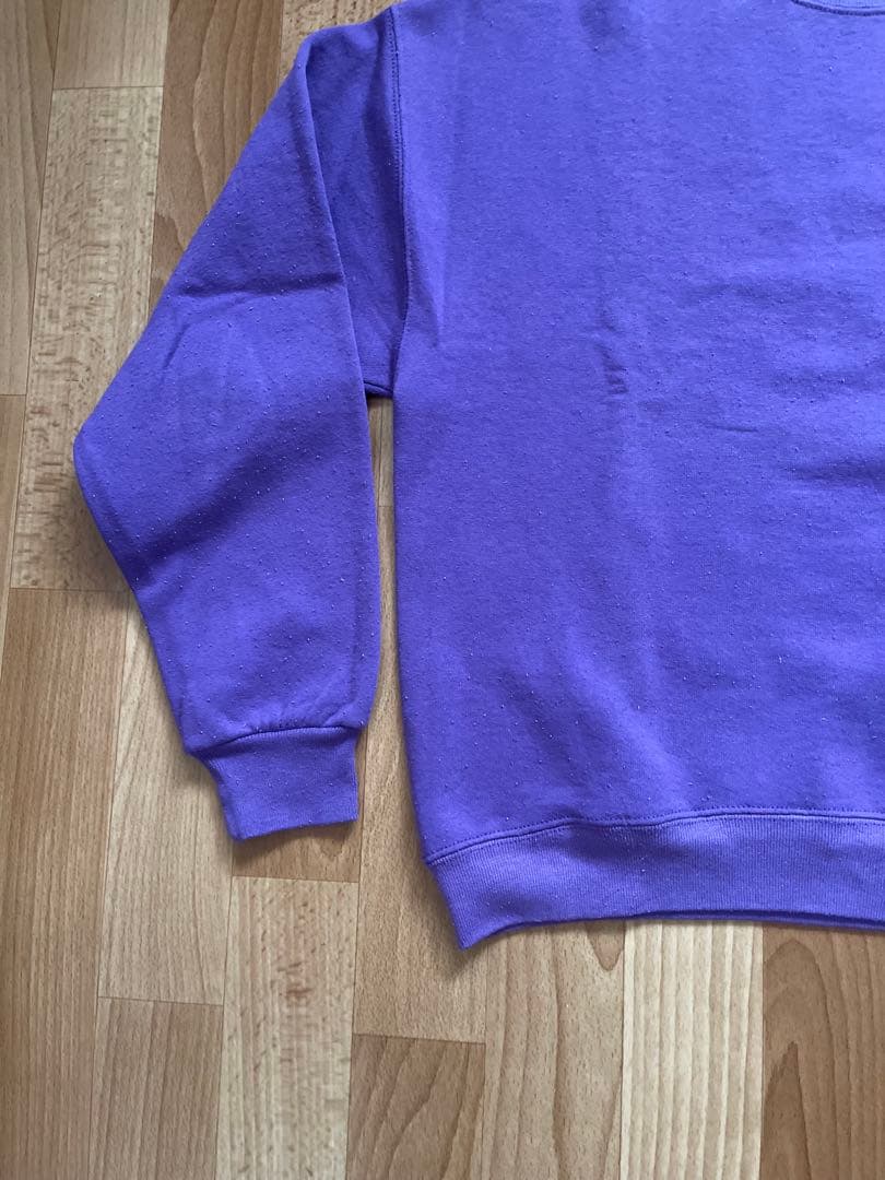 90sDOGTOWNスウェット Santa Cruz Powell zorlac 90sDOGTOWNスウェット