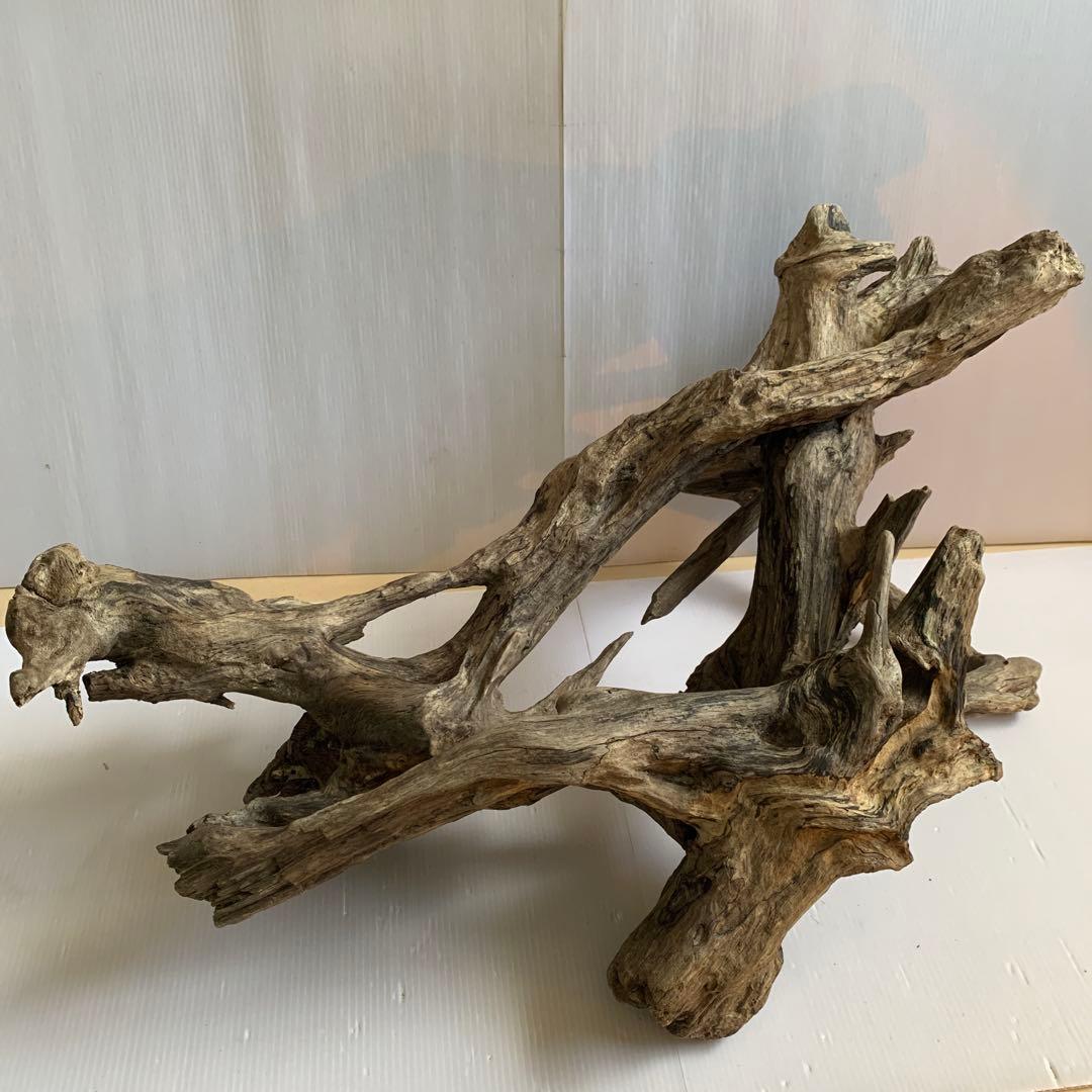 銀*時様 アク抜き済み流木　No.10 超レア型　沈水確認済