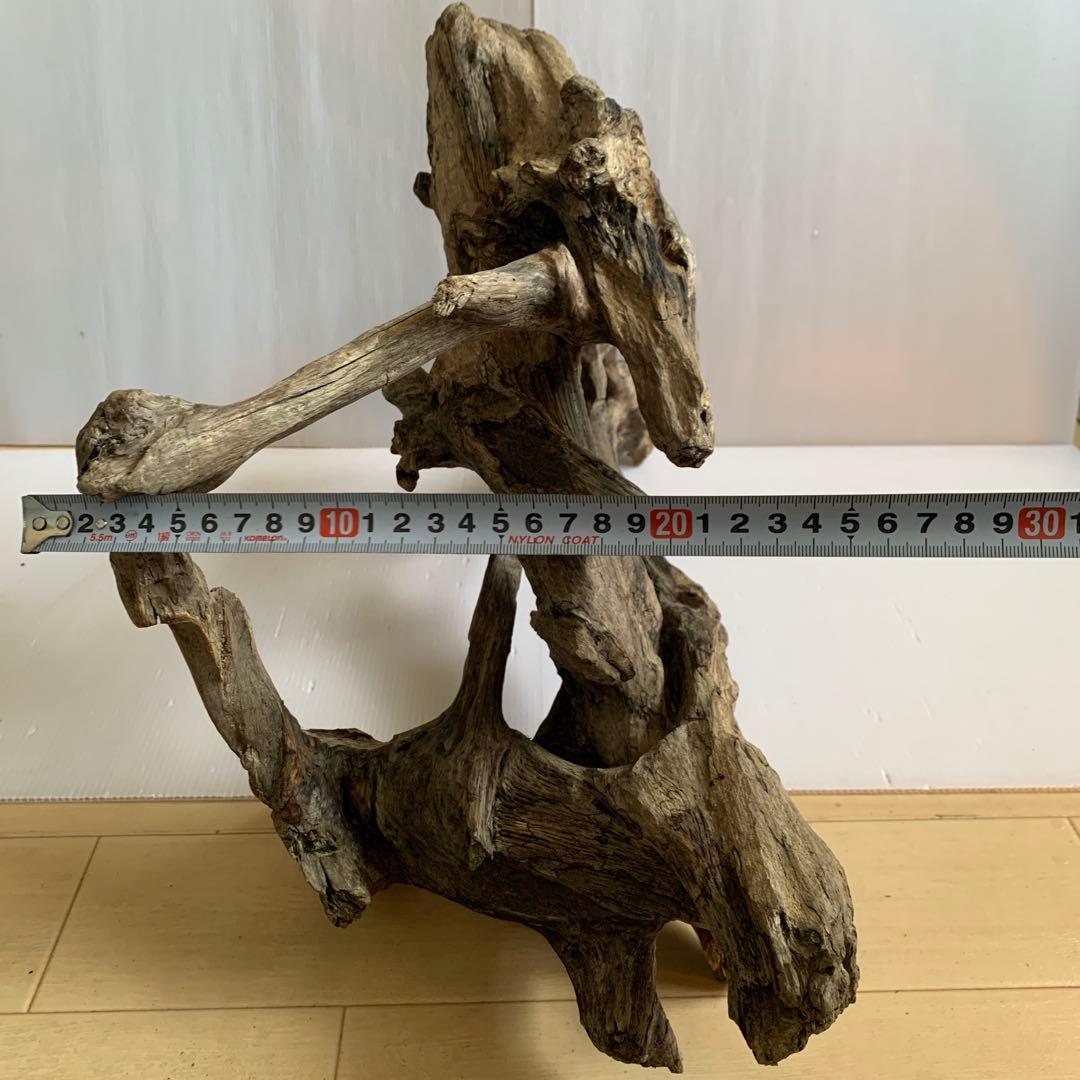 銀*時様 アク抜き済み流木　No.10 超レア型　沈水確認済