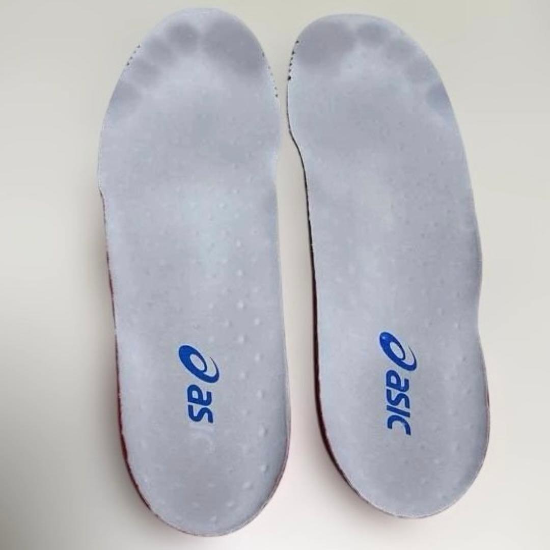 アシックス DS LIGHT X-FLY 5 27.5cm