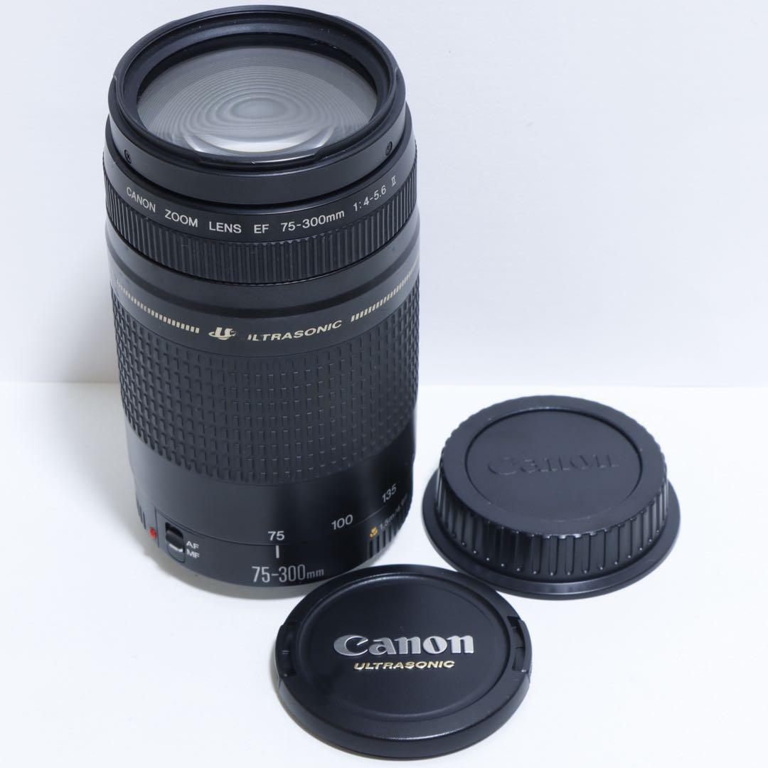 ◇超望遠&高速AF◇Canon純正 75-300mm II型 超望遠レンズ!!◇ - レンズ