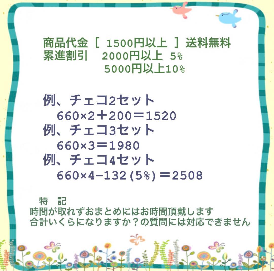 その他 Setsuna