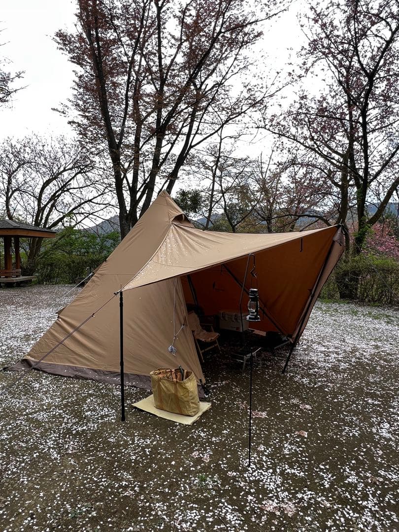 梓紗様専用】 サーカスTCDX+他4点フルセット他【バラ売不可】