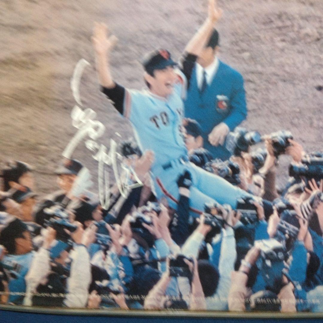 読売ジャイアンツ 1994年リーグ優勝 サイン入り胴上げ写真パネル 1994