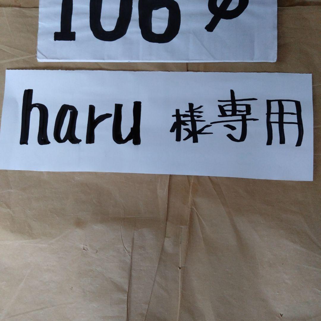 haru様 専用径106mm煙突セット
