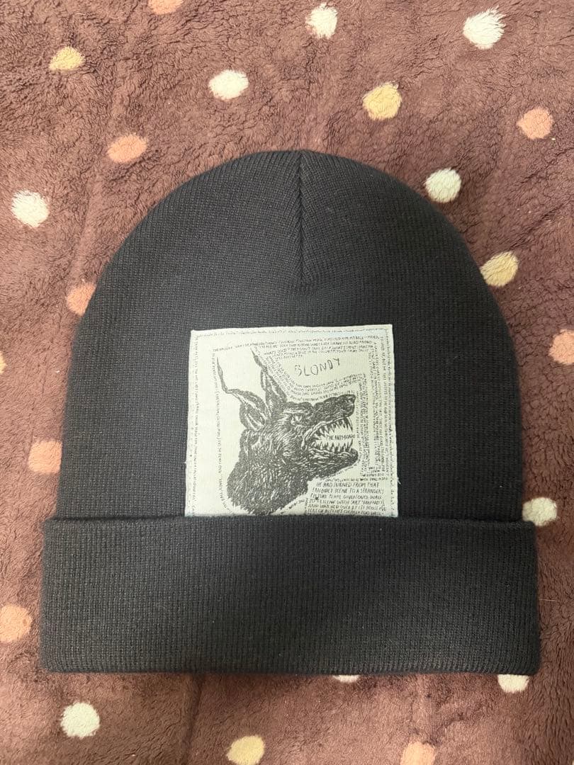 Supreme ノースフェイス レイモンドペティボン トリプルコラボ