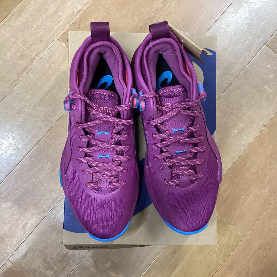 シューズ(男性用) NOVA SURGE LOW2 500 25.5cm