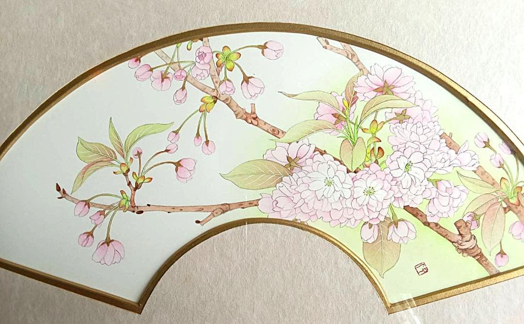 大幅 最終値下げです！ 山本敏雄直筆　扇面八重桜（春）＆鹿の子ゆり（夏）セット…