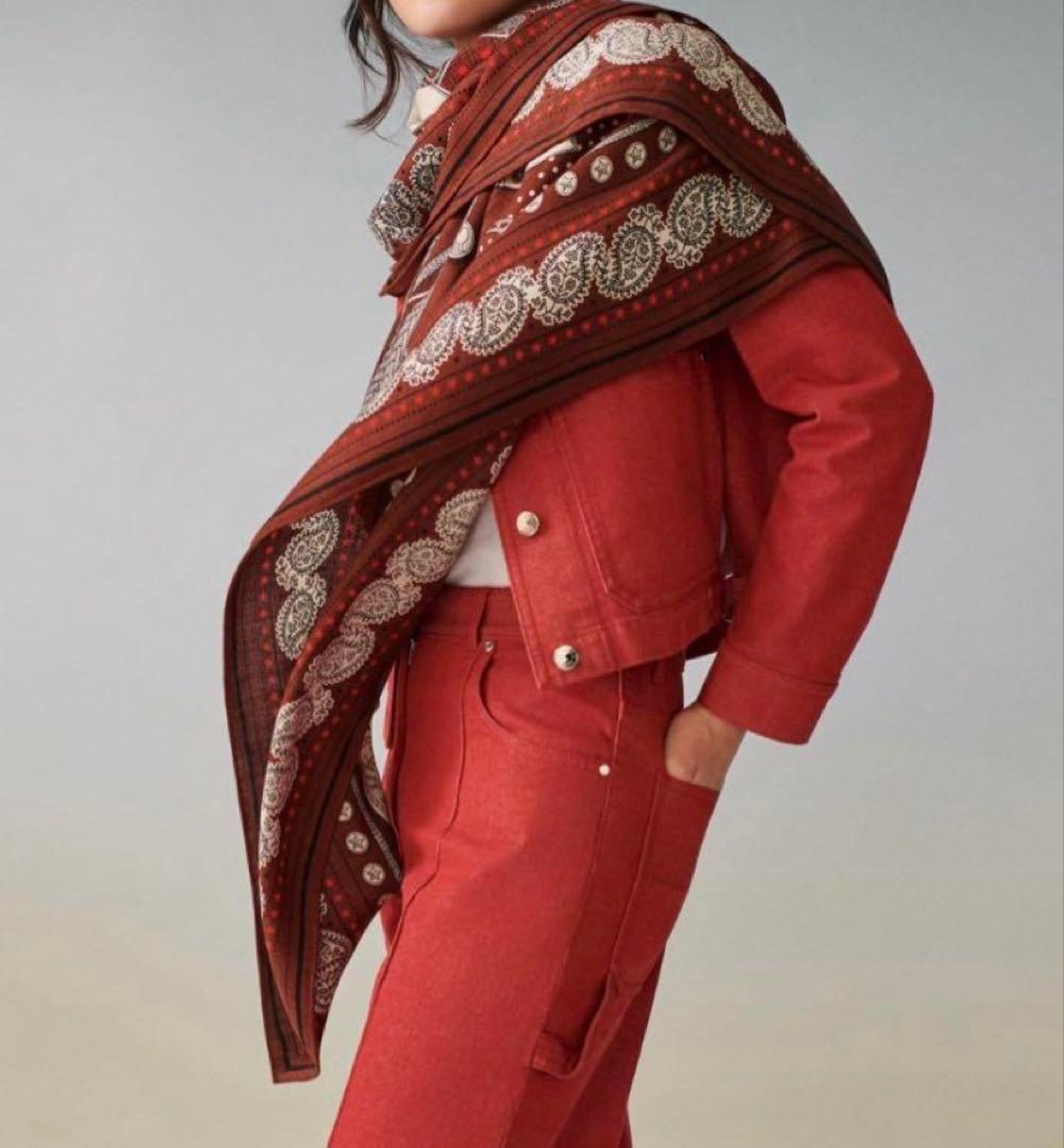 【新品未使用】HERMES カシシル カレジェアン 《ズアヴとドラゴン》