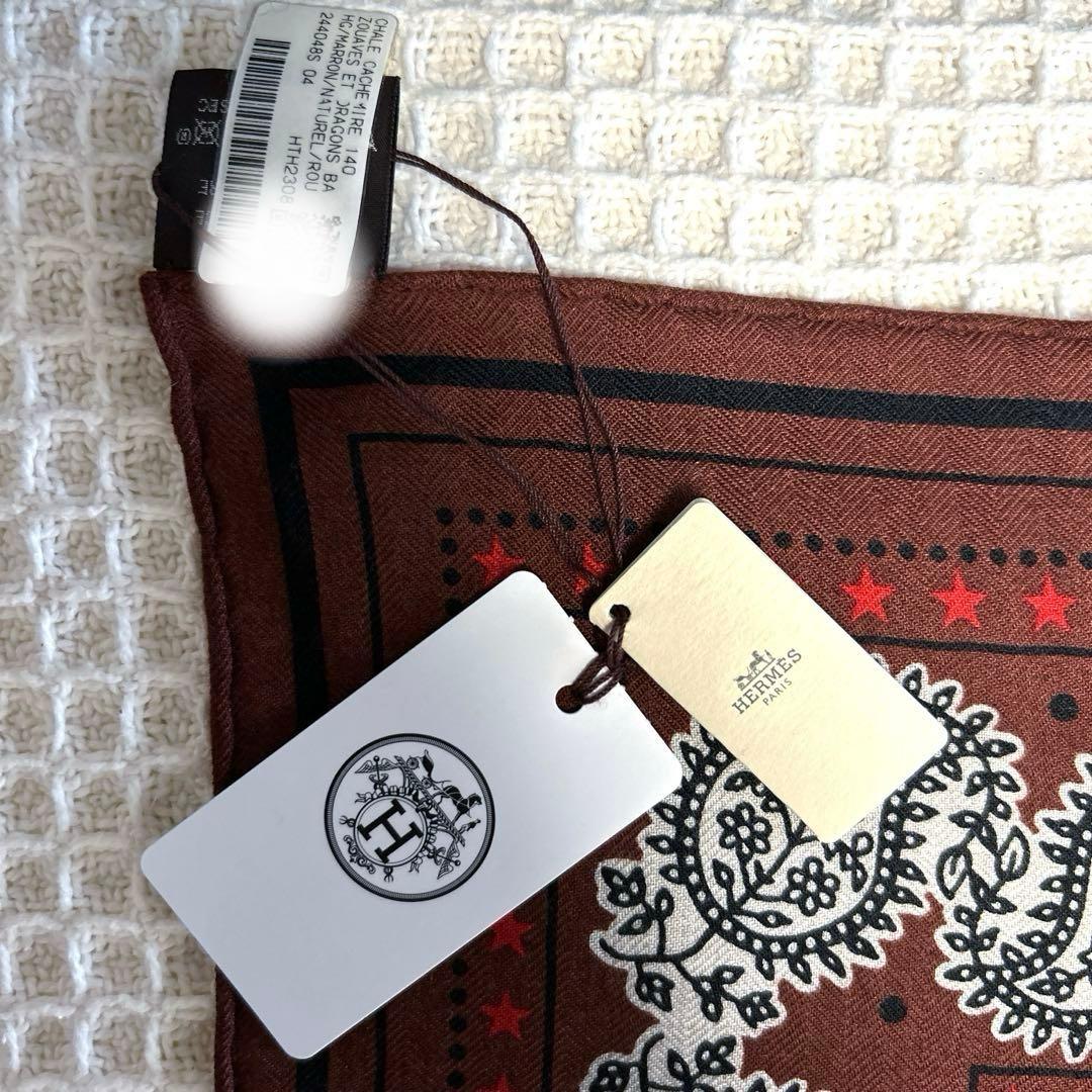 【新品未使用】HERMES カシシル カレジェアン 《ズアヴとドラゴン》